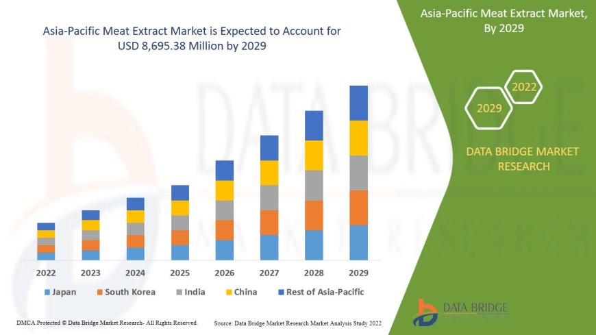 Asia-Pacific Meat Extract Market Size, Status and Outlook 2029
