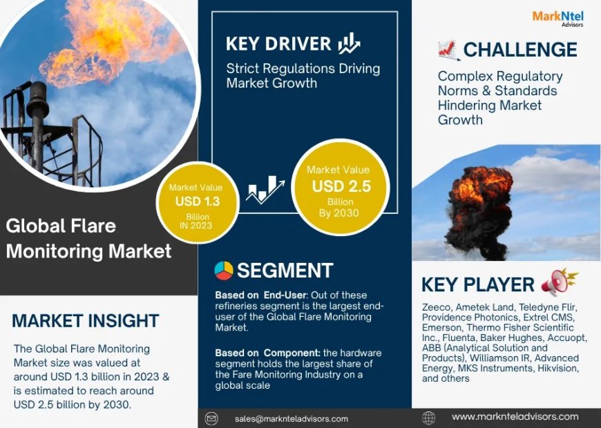 Flare Monitoring Future Business Opportunities 2025-2030 | Badger Mining Corp., Baker Hughes Inc., Carbo Ceramics Inc, others