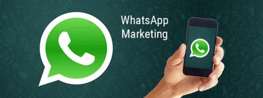 Leading WhatsApp Marketing Agency in Pakistan