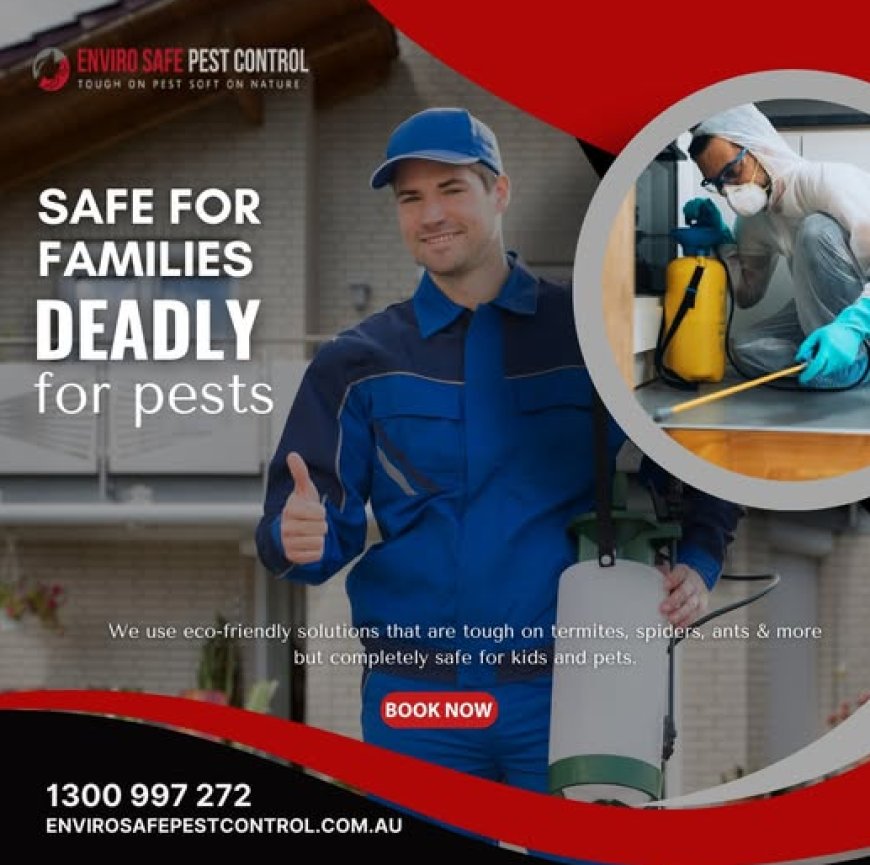 Melbourne’s Pest Battle: Suburban Strategies That Actually Work