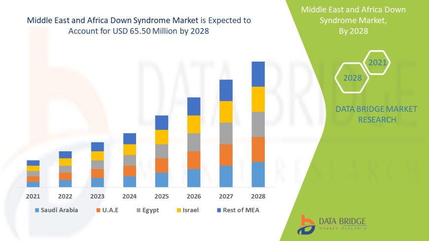 Middle East and Africa Down Syndrome Market Size, Share, Trends, Growth Opportunities and Competitive Outlook
