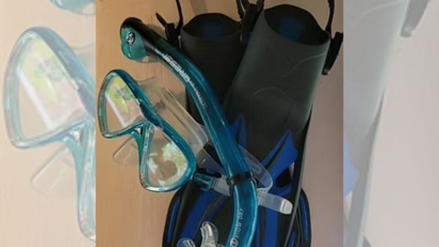 Top Reasons Snorkel Rental Is Better Than Bringing Your Own Gear