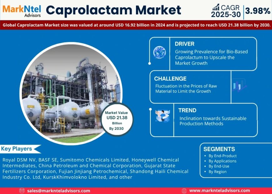 Caprolactam Market Analysis 2025–2030: Size, Share & Future Outlook