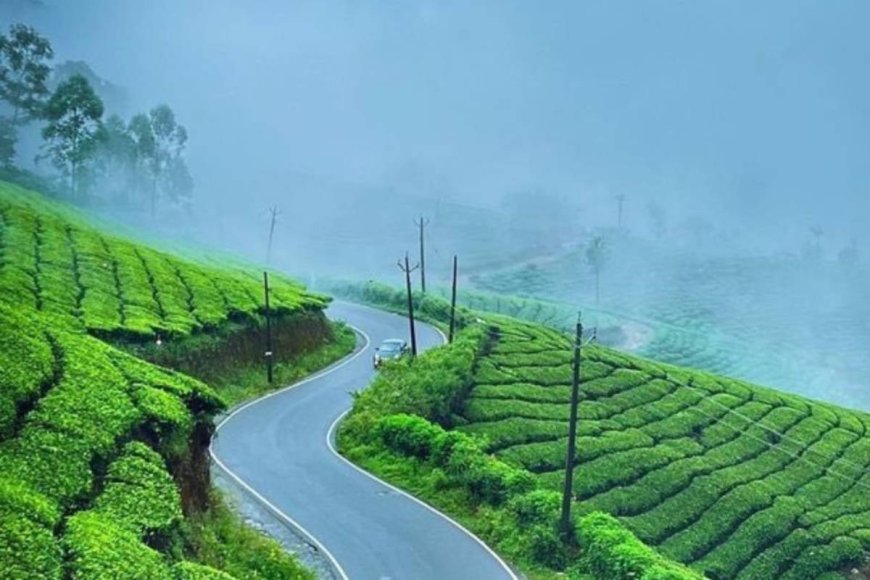 Munnar: A Green Paradise in Kerala’s Western Ghats