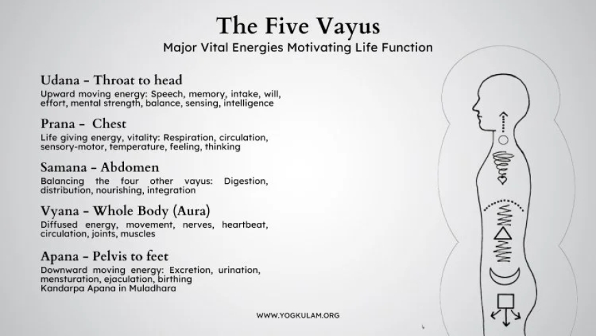 Exploring the Power and Purpose of Pranas