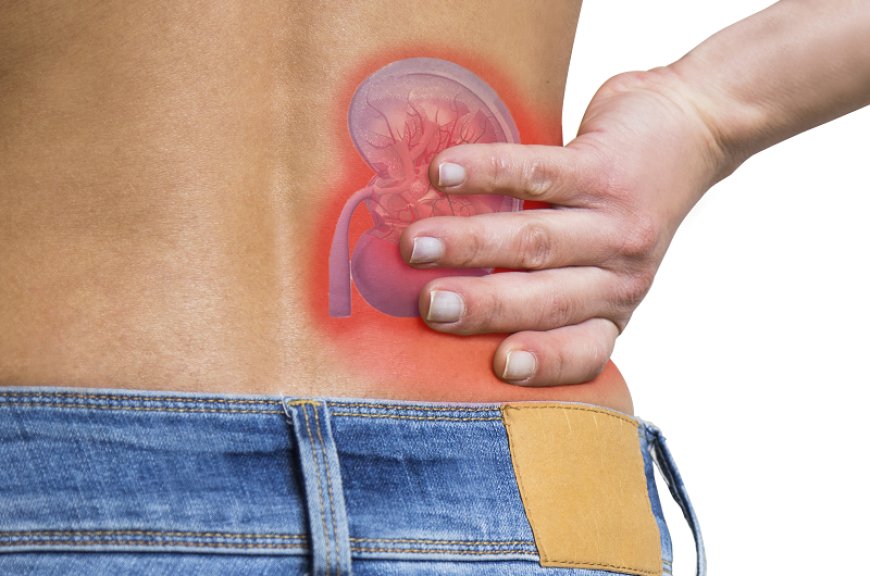 Kidney Transplant Surgery in Jaipur: Meet the Experts Saving Lives