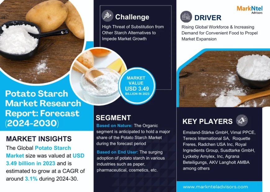 Potato Starch Market Poised for Strong 3.1% CAGR Through 2030 | Size & Opportunity Insights